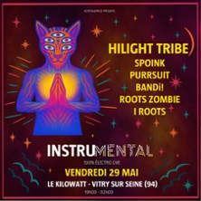 Instrumental