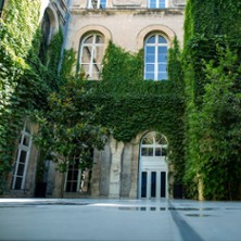VIVE LE SUJET TENTATIVE - SERIE 1 Festival d'Avignon
